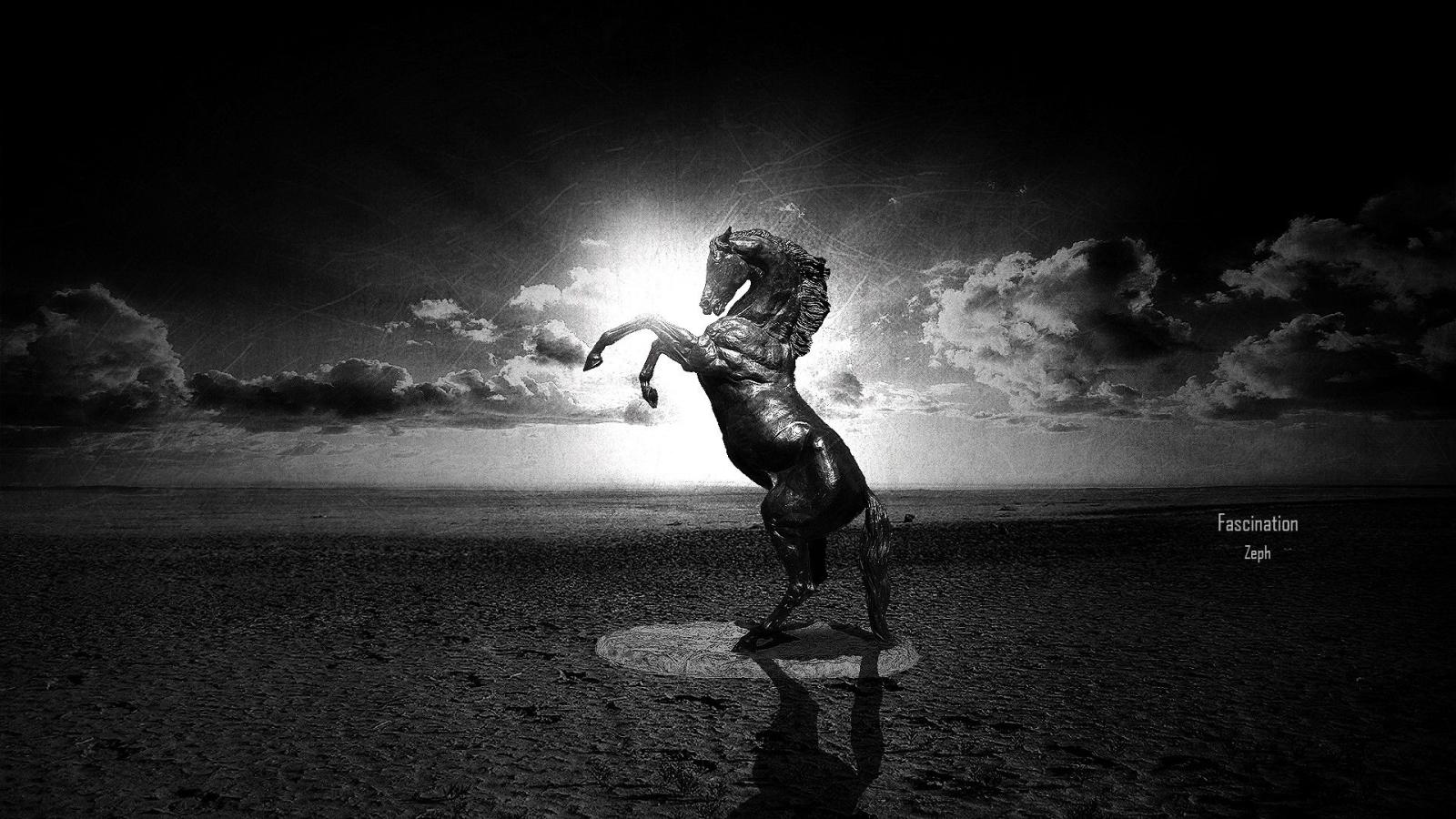 1920x1080 Black Horse Wallpaper ·① WallpaperTag