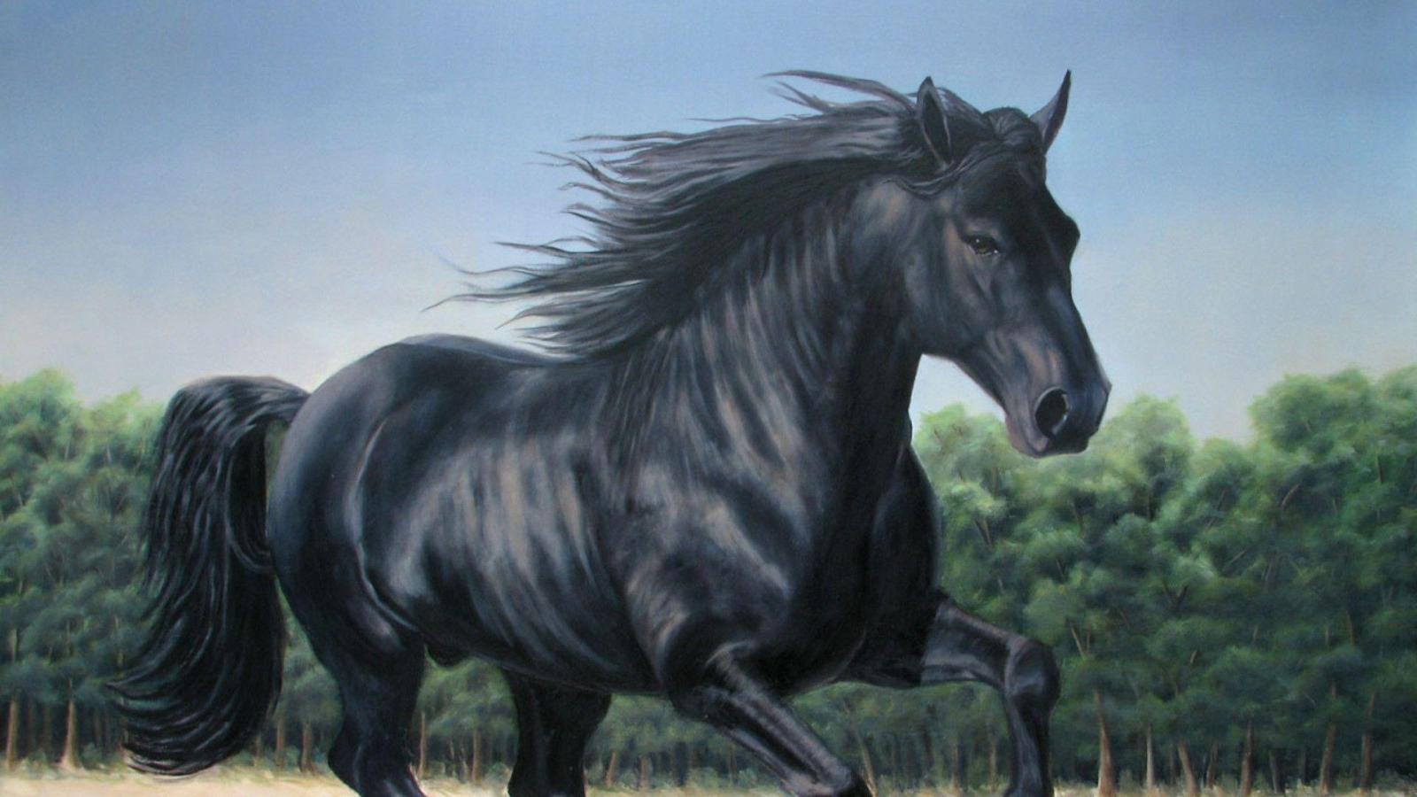 1920x1080 Black Horse Wallpapers