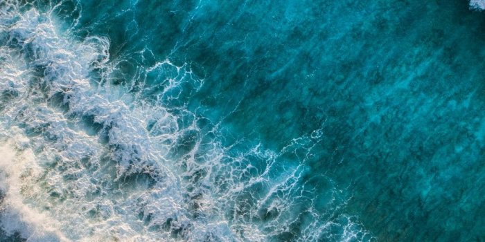 1000x1780 100+ Nature Pictures | Download Free Images & Stock Photos on Unsplash