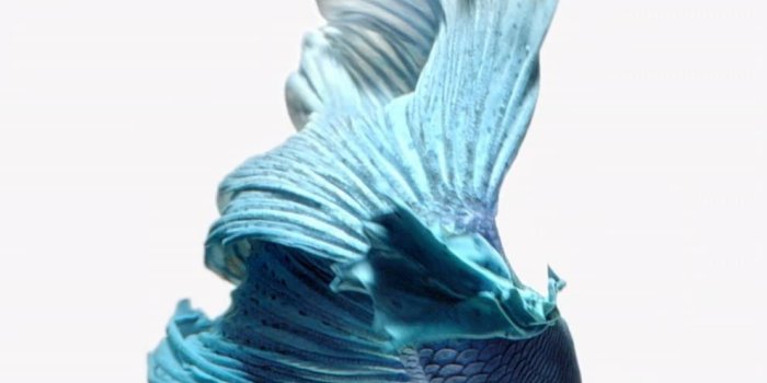 990x1760 How to Get Apple's Live Fish Wallpapers Back on Your iPhone « iOS