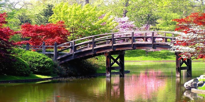 1920x1080 50+ Spring Scenes Wallpapers - Download at WallpaperBro