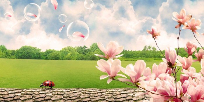1280x800 Spring Scenes Wallpapers Wallpapers Cave Desktop Background