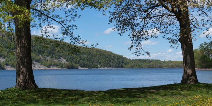 1940x1455 Free Desktop Wallpaper Spring Scenes - inn.spb.ru - ghibli wallpapers