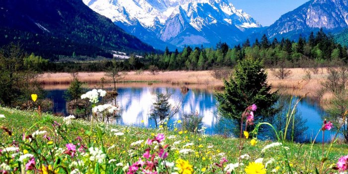 1600x1200 Spring Wallpaper For Desktop - Beautiful Nature Scenes (#472391