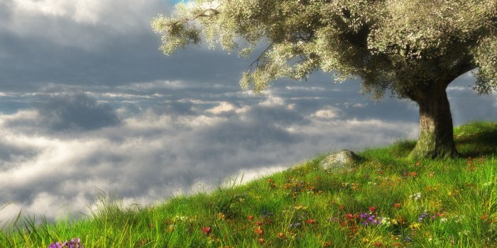 2560x1440 Spring 3D Scene ❤ 4K HD Desktop Wallpaper for 4K Ultra HD TV