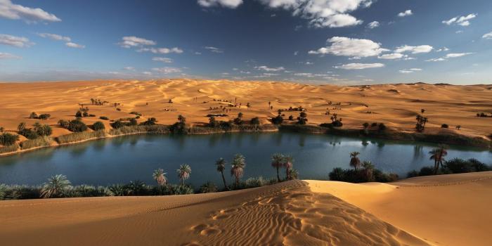 1920x1080 Desert Oasis Wallpapers