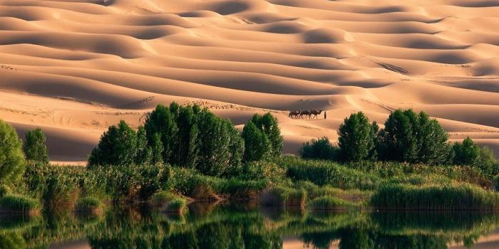 1920x1080 Desert Oasis Wallpaper (57+ images)