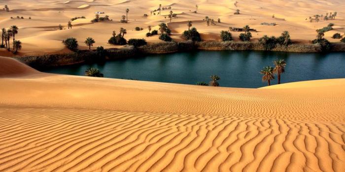 1314x849 Desert Oasis Wallpaper Hd | Nasty Wallpapers