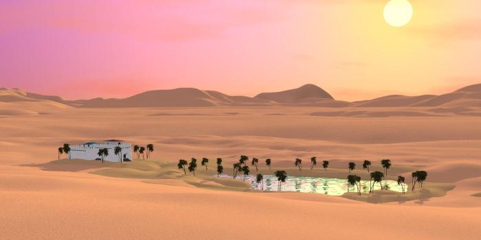 1920x1080 18306 desert oasis wallpaper