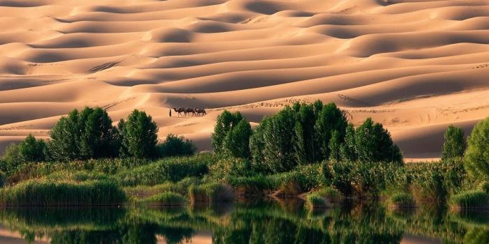 1920x1080 54+ Desert Oasis Wallpapers on WallpaperPlay