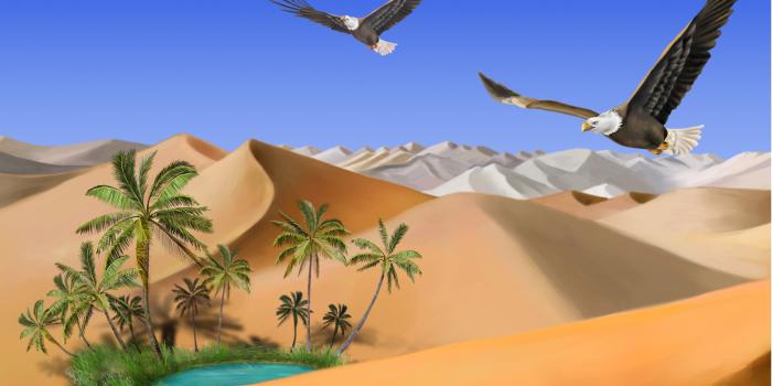 2880x1800 43+] Desert Oasis Wallpaper on WallpaperSafari