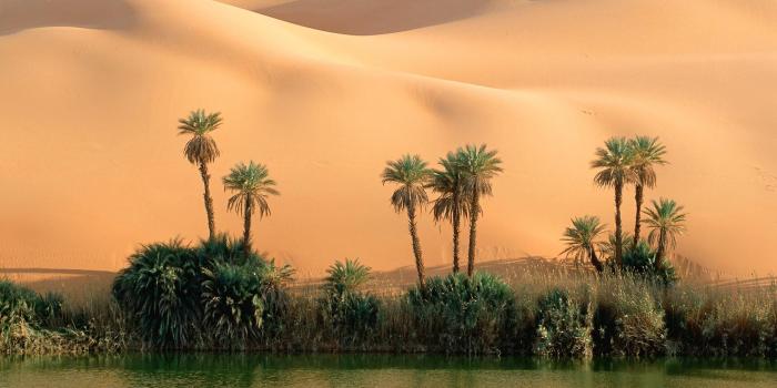 1999x1333 Desert oasis