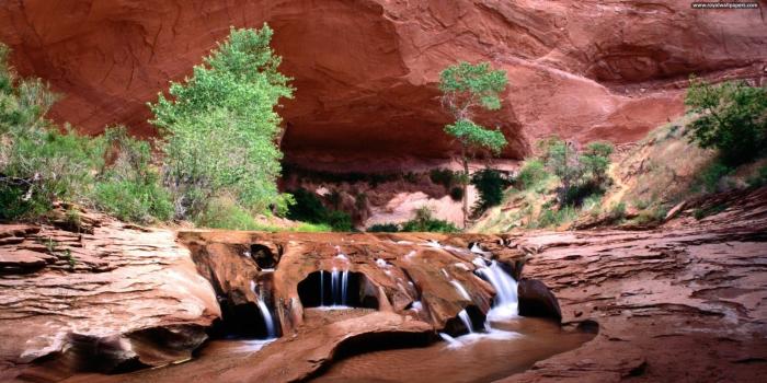 1920x1080 Desert Oasis Wallpapers