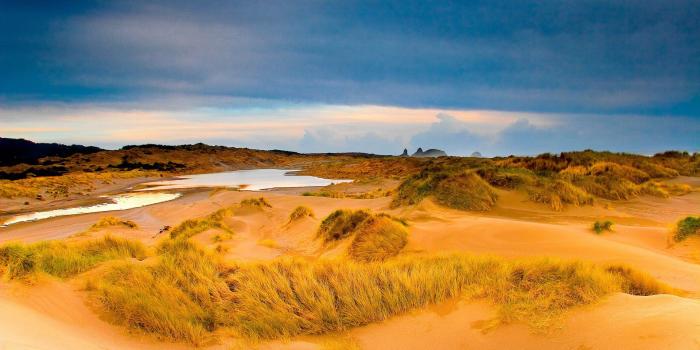 1920x1200 1920x1200 Pretty Desert Plants Oasis Sky desktop PC and Mac wallpaper