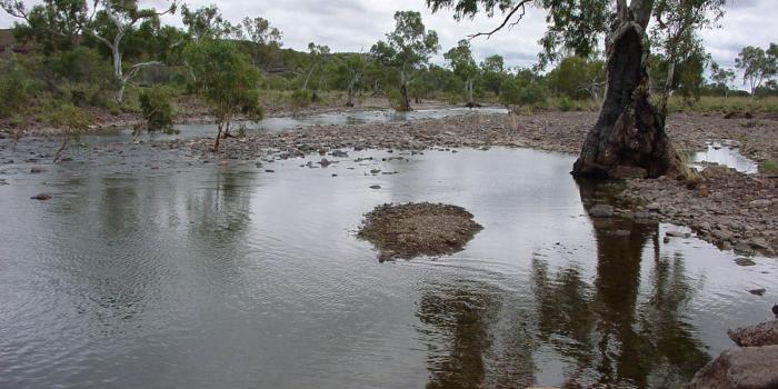 1600x1200 File:Desert oasis wallpapers.jpg - Wikimedia Commons