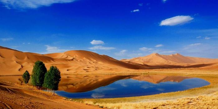 2560x1600 Oasis Wallpaper Hd Group (45+), HD Wallpapers