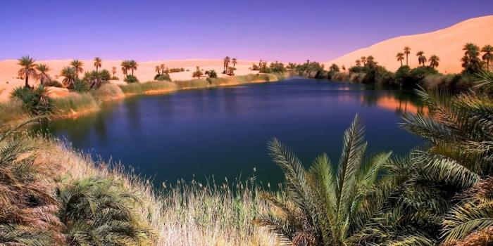 1280x720 Desert Oasis wallpaper_Funny Wallpapers_download free wallpaper