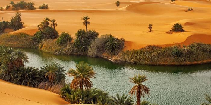 1920x1080 Oasis In A Libyan Desert wallpaper