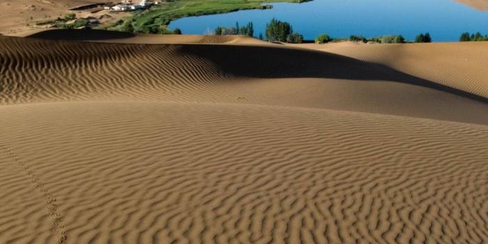 1080x1920 Desert Sand Patterns Lines Oasis Lake Coast Vegetation Wallpaper