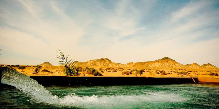 1920x1200 Oasis Wallpaper (66+ pictures)