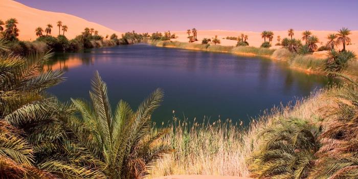 1332x850 Wallpaper lake, desert, oasis images for desktop, section природа