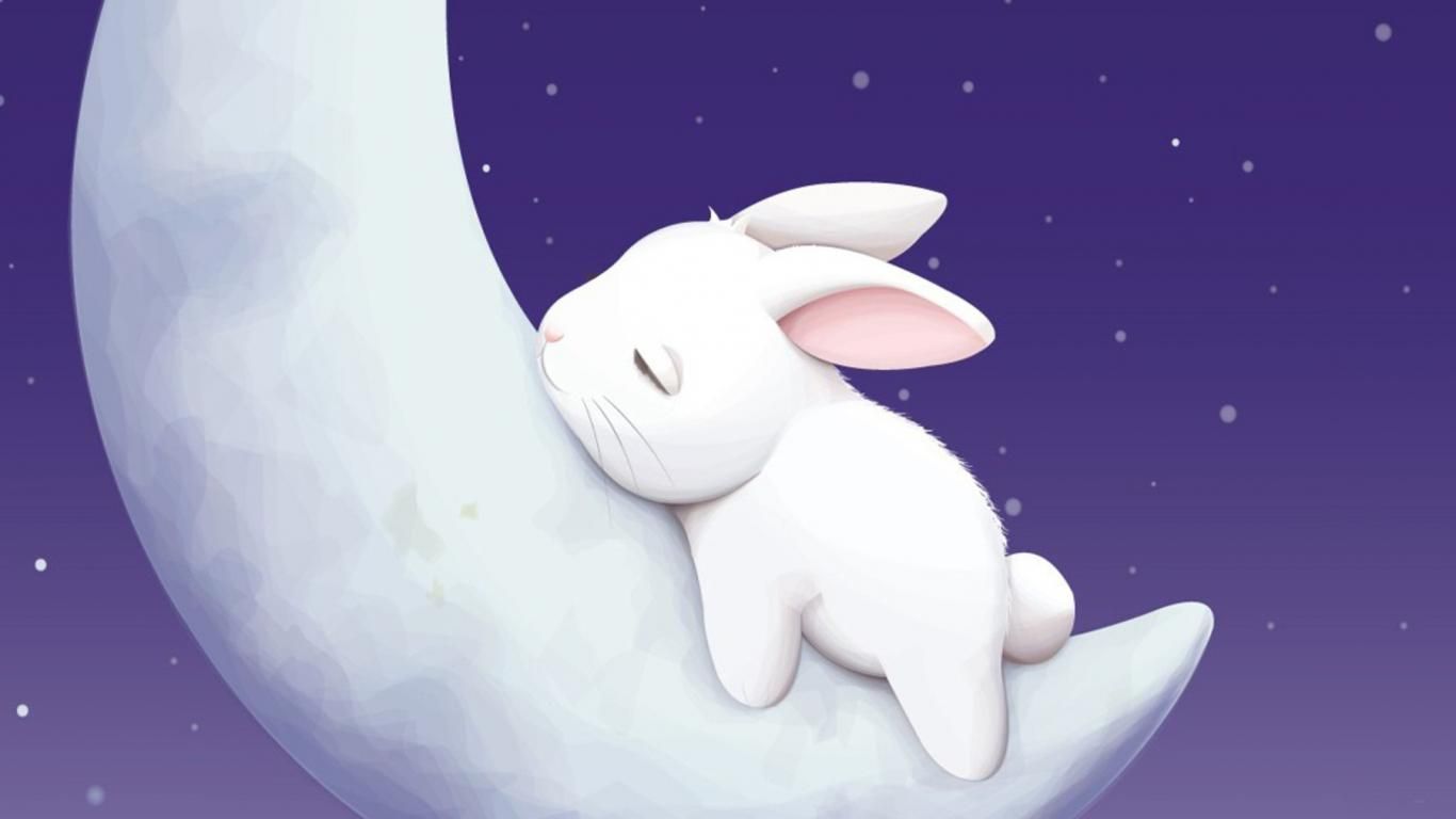 1366x768 Rabbit Cartoon Hd Image wallpaper Gallery