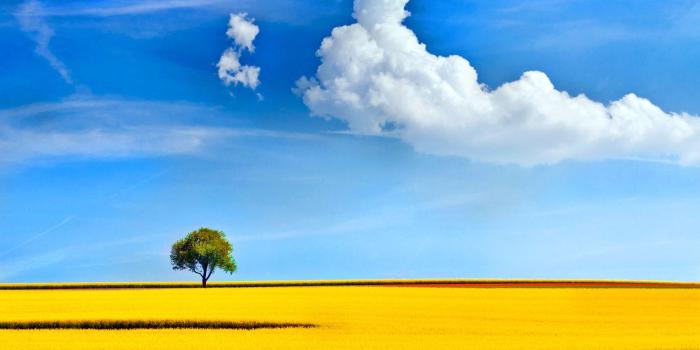 1920x1080 Clouds and Meadow Field Spring Nature Wallpaper - Wallpaper Stream