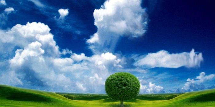 1024x768 Natural Wallpapers