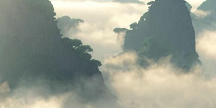 1080x1920 IPhone 6 Plus Wallpaper Nature (94+ images)