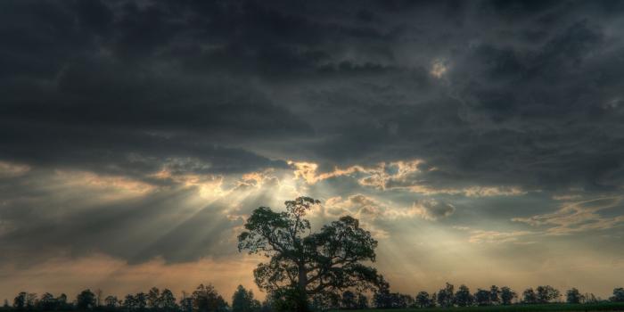 2560x1600 Rain of sunshine through dark heavy clouds wallpaper - Nature