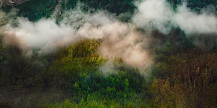 1440x2560 Download 1440x2560 wallpaper mountain, fog, clouds, nature, qhd