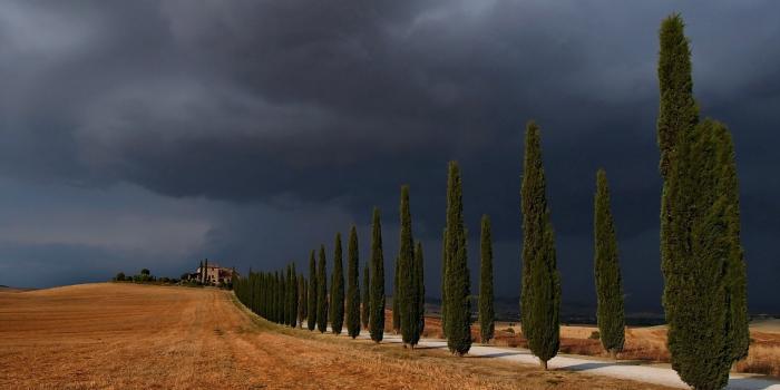3840x2160 Fields, Roadfull HD, Sky, Trees, Dandorcia, Nature Wallpapers
