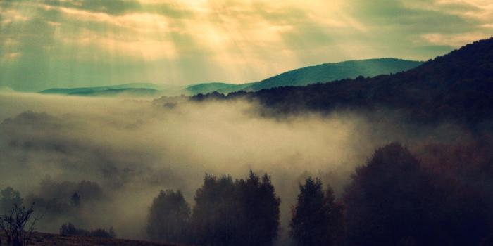 2560x1600 HD Nature Wallpapers,mountains Mist, Trees, Bieszczady, Fog