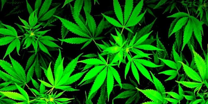 900x1600 3D Wallpaper Cool Weed Leaf Marijuana Hd Wallpapers | Free HD Wallpapers