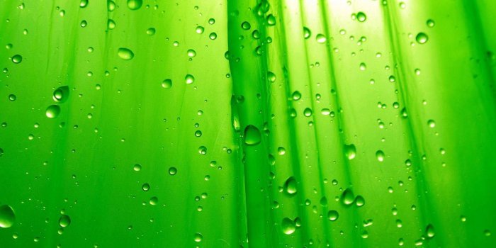 1920x1080 Cool Green wallpaper | 1920x1080 | #6284