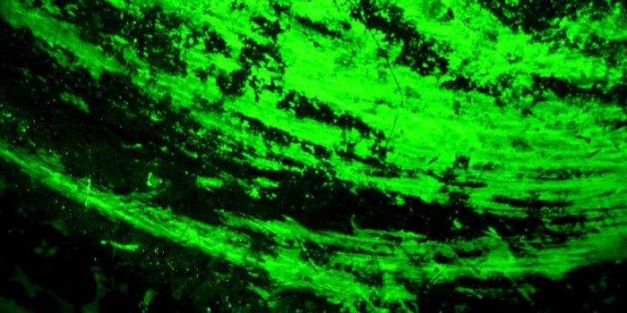 1600x1200 Green Cool Phone Wallpapers - Top Free Green Cool Phone Backgrounds