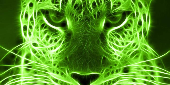 1920x1080 Neon Green Background (55+ images)