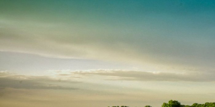 1080x1920 Cool Green Field iPhone 6s Wallpapers HD