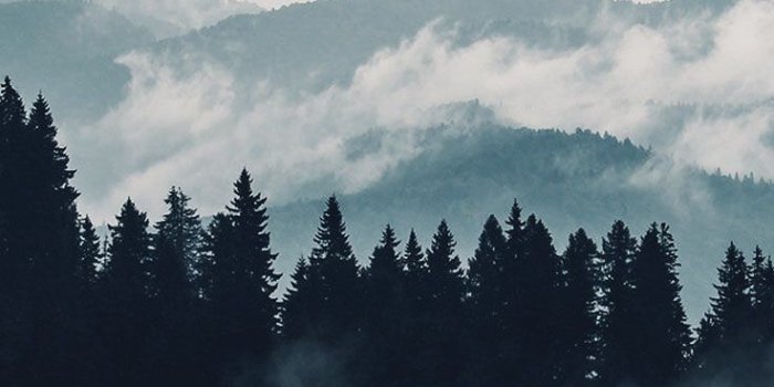 736x1308 I knew something would always rule me./I knew this sin was mine