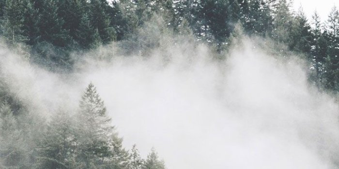 736x1308 16 Adventurous Forest & Mountain iPhone 7 Wallpapers | Random