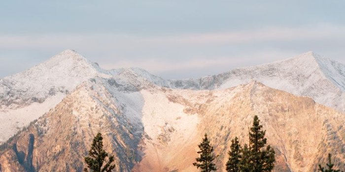 736x1308 16 Adventurous Forest & Mountain iPhone 7 Wallpapers | Aesthetic