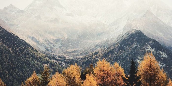 736x1308 15 Gorgeous Happy Fall iPhone X Wallpapers | Preppy Wallpapers