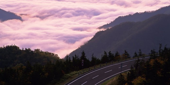 1600x1200 Aesthetic Nature Wallpapers - Top Free Aesthetic Nature Backgrounds