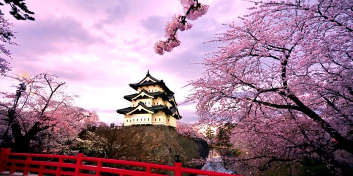 1310x837 Japan Wallpaper | Wallpapers Jleb