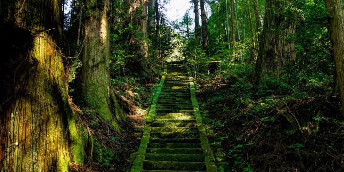3840x2160 Download wallpaper 3840x2160 stairs, moss, trees, japan 4k uhd 16:9