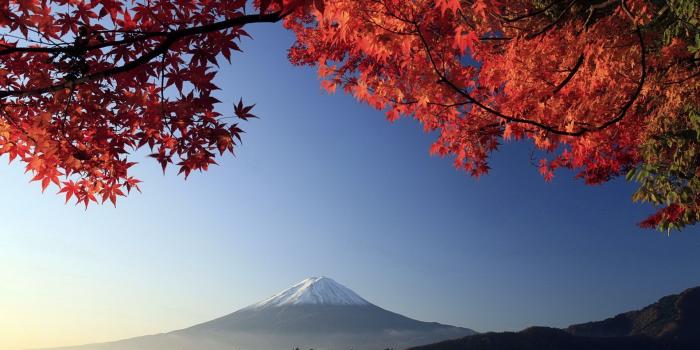 1920x1200 35+ Japan Autumn Wallpapers - Download at WallpaperBro