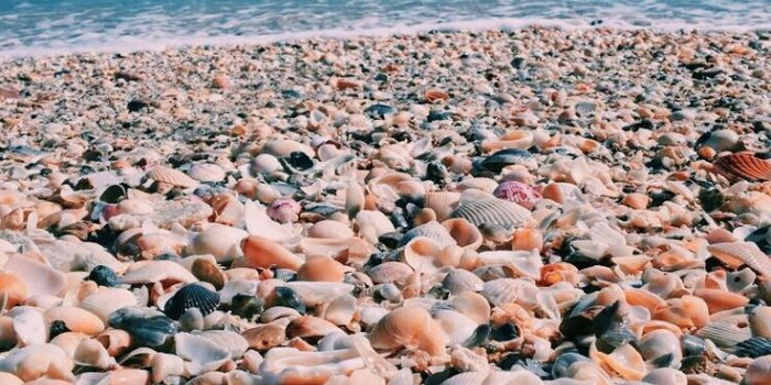 736x1309 lillian ❄❄ – #lillian #x2744x2744 | wallpaper | Summer wallpaper