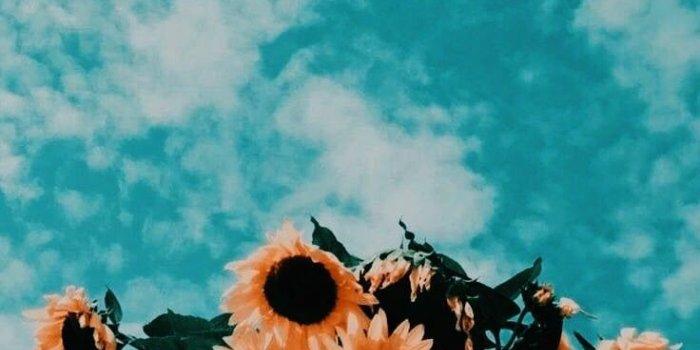736x1245 Ellanlhanielaaa on summer aesthetic in 2019 | Aesthetic
