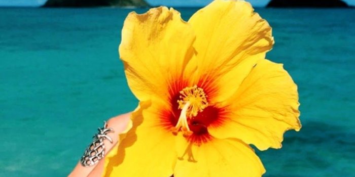 842x1600 Summer Tumblr Backgrounds | Densus Wallpapers