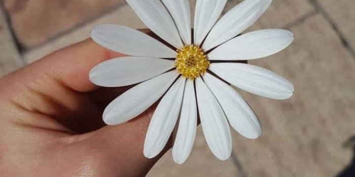 720x1280 Image about summer in Cute wallpapers